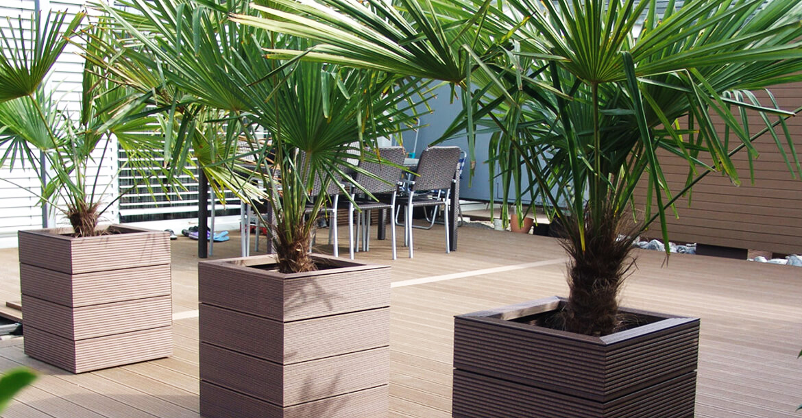 Ahşap kompozit Özel Tasarımlar