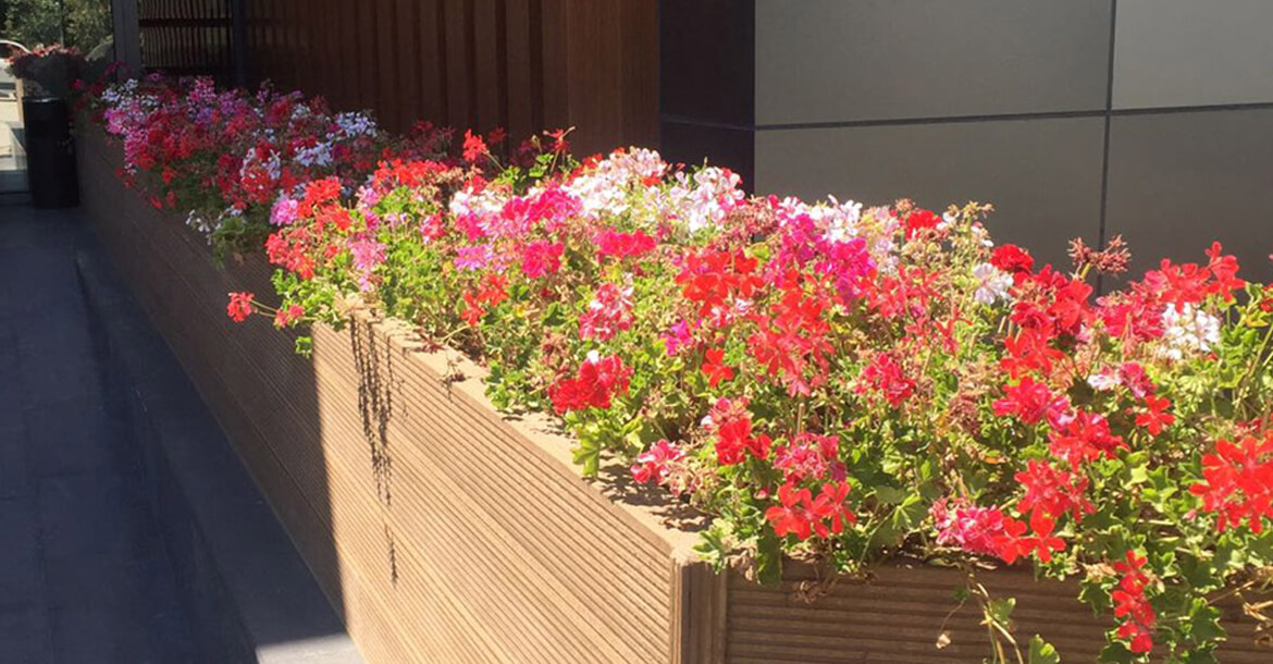 Ahşap kompozit Özel Tasarımlar